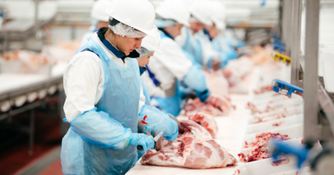 Работники на мясокомбинат в Болгарию